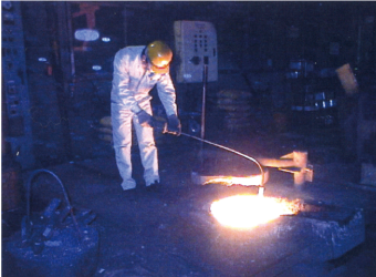The in-furnace temperature measurement image